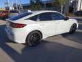 Honda Civic Civic XI 2023 2.0 hev Sport ecvt Bianco - thumbnail 6