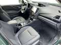 Subaru Forester 2,0i e-Boxer Black Edition AWD Aut. Grün - thumbnail 13