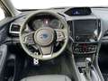 Subaru Forester 2,0i e-Boxer Black Edition AWD Aut. Grün - thumbnail 11