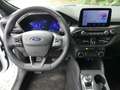 Ford Kuga 2.5 PHEV 225PK ST-Line | STOEL+STUUR+VOORRUITVERWA Blanc - thumbnail 7