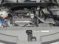 Kia Sportage SPORTAGE 1.6 T-GDI 150 2WD VISION MJ26 KOMFORT Nero - thumbnail 16
