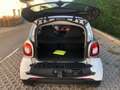 smart forTwo 1.0 Prime 71cv - thumbnail 13