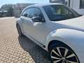 Volkswagen Maggiolino Maggiolino 2.0 tsi Sport dsg Blanc - thumbnail 1