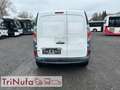Renault Kangoo Express Z.E. E-Tech | Klima | MAXI | Weiß - thumbnail 9