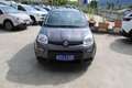 Fiat Panda 1.0 FireFly S&S Hybrid City Cross Gris - thumbnail 2