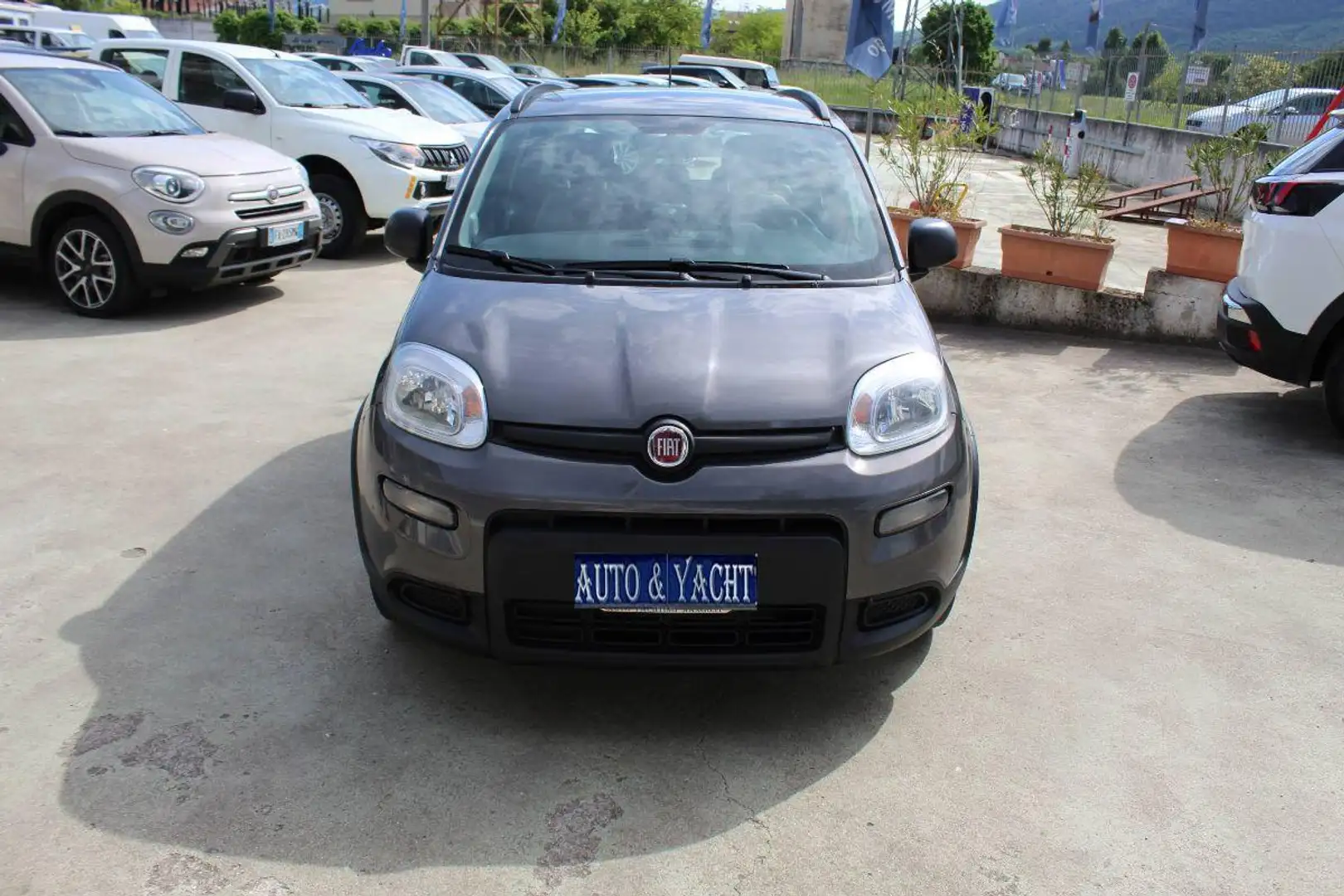 Fiat Panda 1.0 FireFly S&S Hybrid City Cross Gris - 2