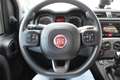 Fiat Panda 1.0 FireFly S&S Hybrid City Cross Gris - thumbnail 9