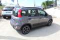 Fiat Panda 1.0 FireFly S&S Hybrid City Cross Gris - thumbnail 4