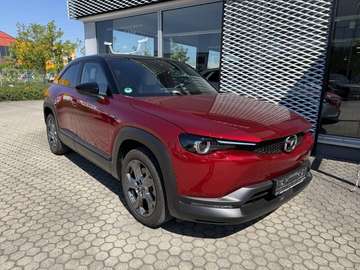 Elektro Advantage Matrix-LED-Licht Carplay Wärmepumpe ACC Navi Standklima