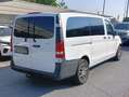 Mercedes-Benz Vito 2.2 116 CDI PC-SL Tourer Long Auto + G. Traino Bianco - thumbnail 5