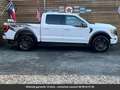 Ford Texas Edition 360° SuperCrew 4x4 Tout compris hors Білий - thumbnail 14