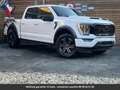 Ford Texas Edition 360° SuperCrew 4x4 Tout compris hors Білий - thumbnail 2