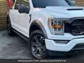 Ford Texas Edition 360° SuperCrew 4x4 Tout compris hors Білий - thumbnail 4