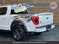 Ford Texas Edition 360° SuperCrew 4x4 Tout compris hors Білий - thumbnail 10