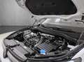 Volkswagen Tiguan 1.5 TSI DSG Elegance, AHK, Area View, ACC Weiß - thumbnail 19