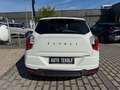 KGM Tivoli Bliss Automatik. - Aktion im Autohaus Tekolf. White - thumbnail 9