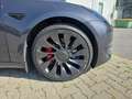 Tesla Model 3 Model 3 Performance AWD 57,5kWh Grau - thumbnail 24