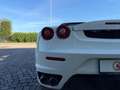Ferrari F430 Spider F1 Bianco - thumbnail 9