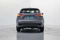 Lexus NX 300 300h Business Navigation 2WD Gris - thumbnail 4