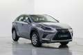 Lexus NX 300 300h Business Navigation 2WD Gris - thumbnail 3