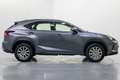 Lexus NX 300 300h Business Navigation 2WD Gris - thumbnail 7