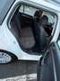 Volkswagen Golf Variant Golf Variant 1.2 TSITrendline Weiß - thumbnail 10