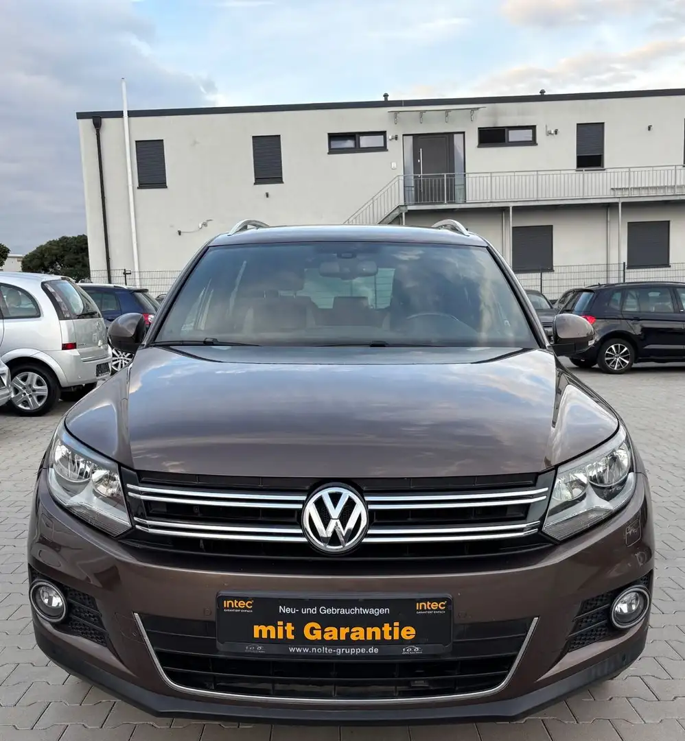 Volkswagen Tiguan Life BMT/Unfallfrei Braun - 2