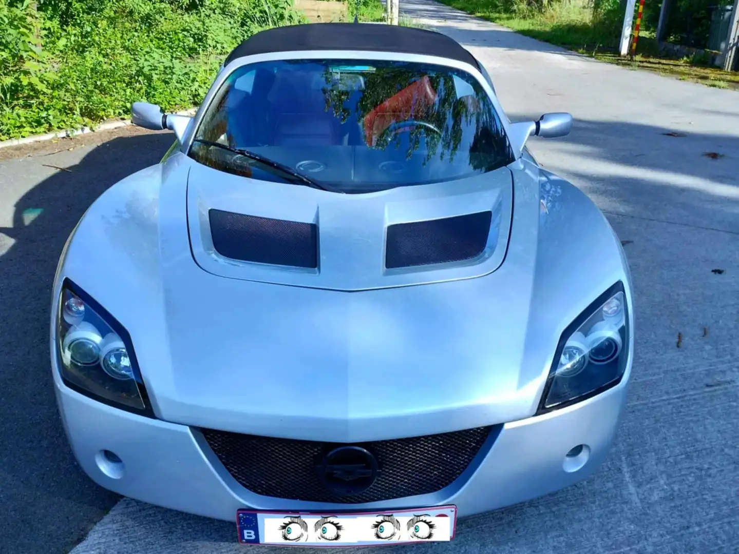 Opel Speedster Argintiu - 1