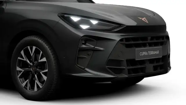 Cupra Terramar view 8
