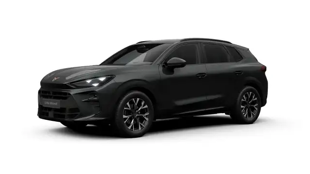 Cupra Terramar view 2
