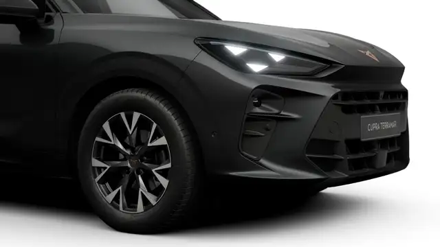 Cupra Terramar view 4
