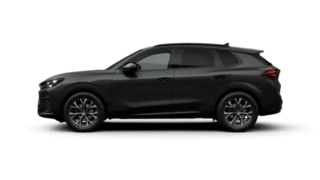 Cupra Terramar view 6