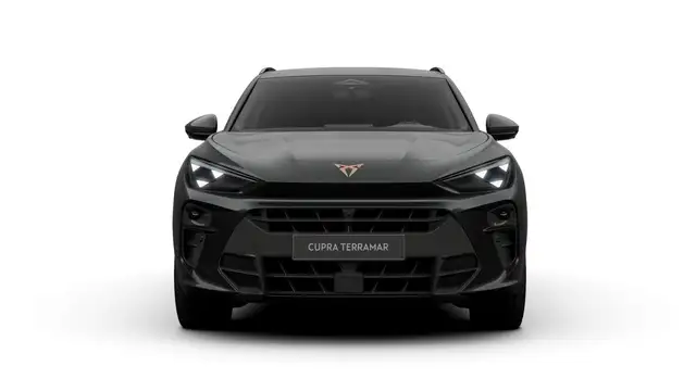 Cupra Terramar view 3