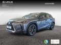 Lexus UX 250h Business 2WD Grijs - thumbnail 4