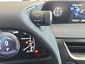 Lexus UX 250h Business 2WD Grijs - thumbnail 20