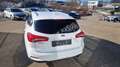 Ford Focus 2,0 EcoBlue SCR Traveller Vignale aut. Weiß - thumbnail 9