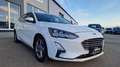 Ford Focus 2,0 EcoBlue SCR Traveller Vignale aut. Weiß - thumbnail 3