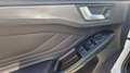 Ford Focus 2,0 EcoBlue SCR Traveller Vignale aut. Weiß - thumbnail 16