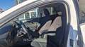 Ford Focus 2,0 EcoBlue SCR Traveller Vignale aut. Weiß - thumbnail 12