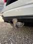 Audi Q3 Q3 II 2018 35 2.0 tdi S line edition s-tronic Blanc - thumbnail 9