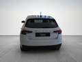 Skoda Fabia Selection TSI Bianco - thumbnail 5