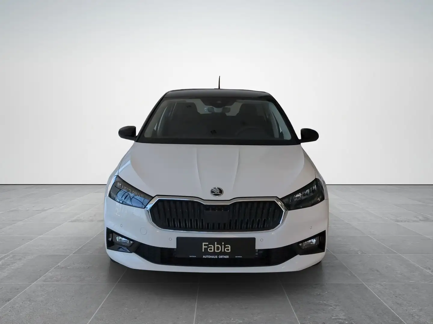 Skoda Fabia Selection TSI Bianco - 2