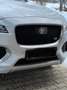 Jaguar F-Pace 30d AWD S Aut. Weiß - thumbnail 2