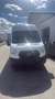 Ford Transit 2.0 Ecoblue L4H3 Trend Weiß - thumbnail 3