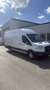 Ford Transit 2.0 Ecoblue L4H3 Trend Weiß - thumbnail 2