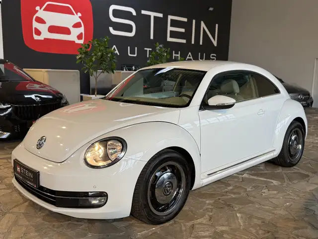 Volkswagen Beetle Design BMT Totwinkel PDC v&h SHZ Fender
