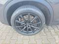 BMW X4 xDr.30d Aut. AHK+Head-Up+ACC+Glasdach+HIIF Grau - thumbnail 18