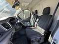 Ford Transit Transit 310 2.0TDCi EcoBlue 165CV PL-TM Furgone T Bianco - thumbnail 6