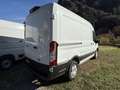 Ford Transit Transit 310 2.0TDCi EcoBlue 165CV PL-TM Furgone T Bianco - thumbnail 3