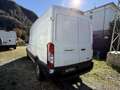 Ford Transit Transit 310 2.0TDCi EcoBlue 165CV PL-TM Furgone T Bianco - thumbnail 4